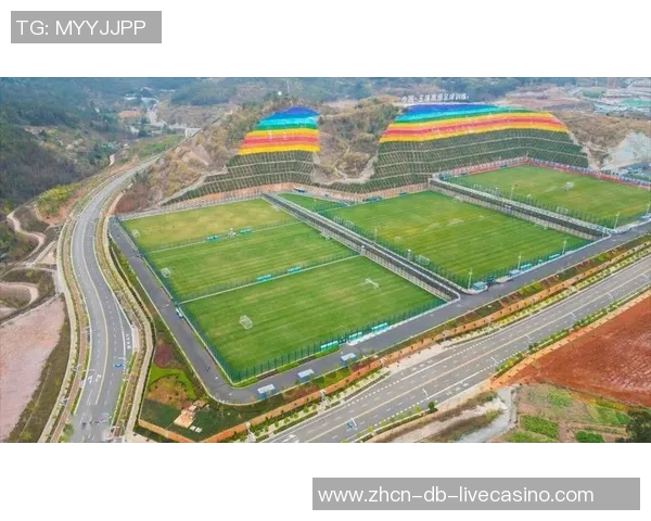 科化足球的崛起与发展探索如何通过科学技术提升足球竞技水平与观赏性