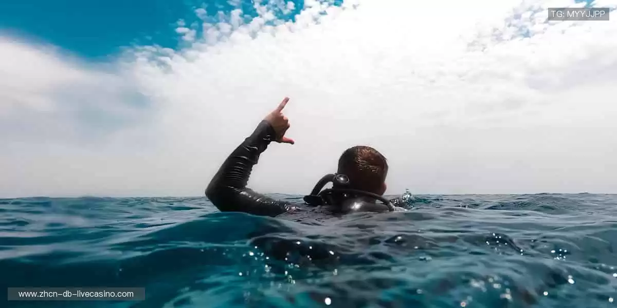 📱实时追踪,精彩瞬间不错过!📸